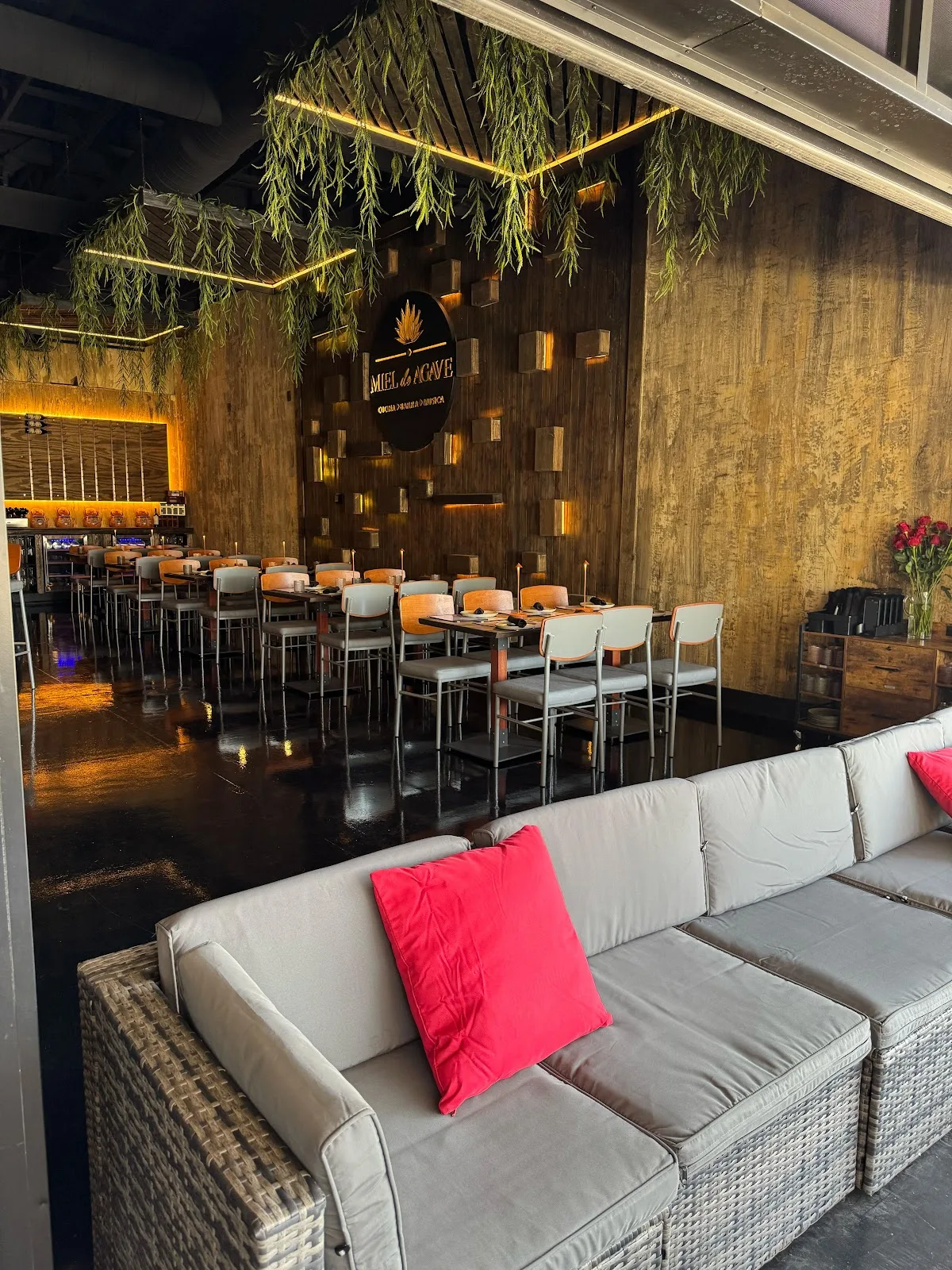 Miel de Agave Chandler